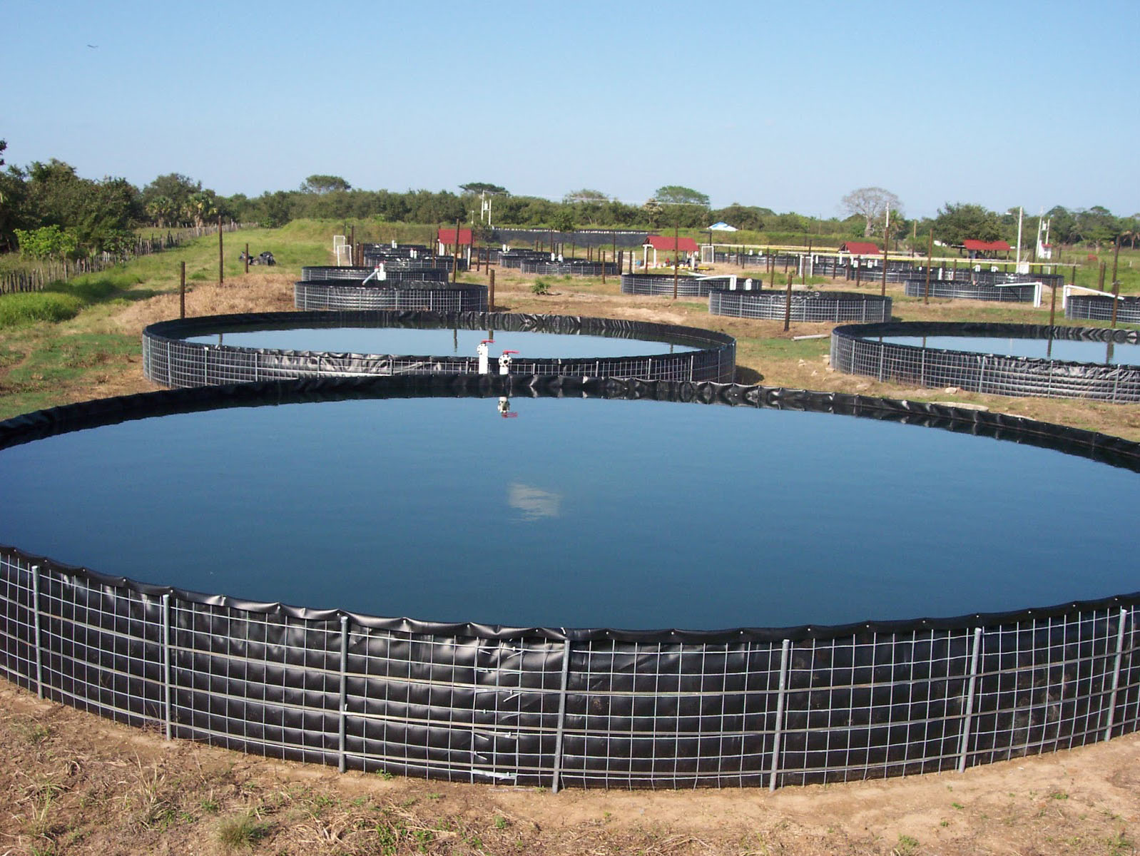 Aquaculture
